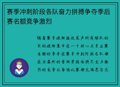赛季冲刺阶段各队奋力拼搏争夺季后赛名额竞争激烈